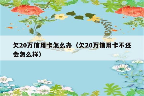 欠20万信用卡怎么办（欠20万信用卡不还会怎么样） 