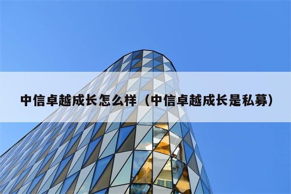 中信卓越成长怎么样（中信卓越成长是私募） 