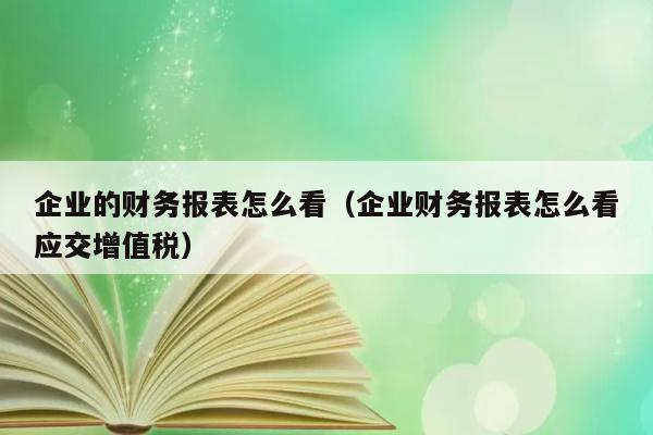 企业的财务报表怎么看（企业财务报表怎么看应交增值税） 