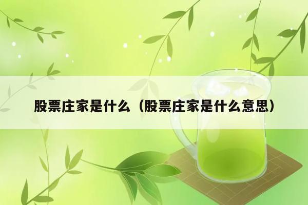 股票庄家是什么（股票庄家是什么意思） 