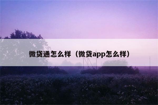 微贷通怎么样（微贷app怎么样） 