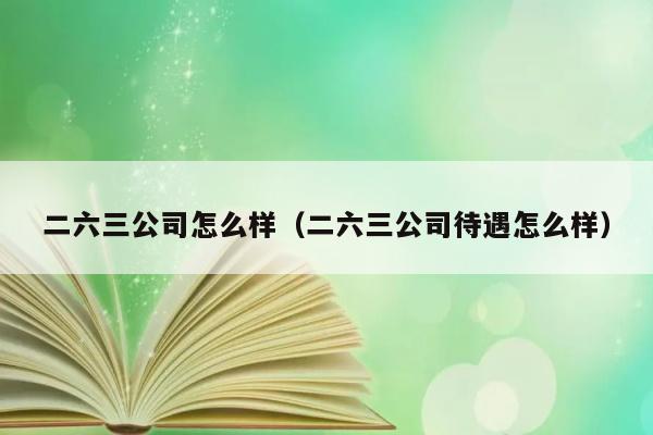 二六三公司怎么样（二六三公司待遇怎么样） 