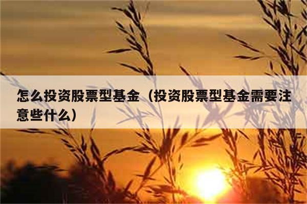 怎么投资股票型基金（投资股票型基金需要注意些什么） 