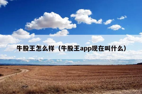 牛股王怎么样（牛股王app现在叫什么） 