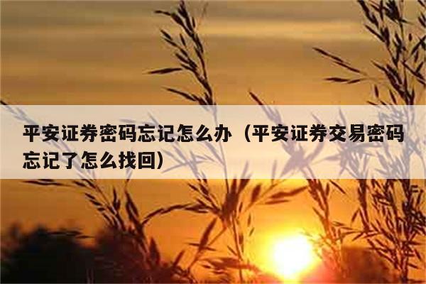 平安证券密码忘记怎么办（平安证券交易密码忘记了怎么找回） 