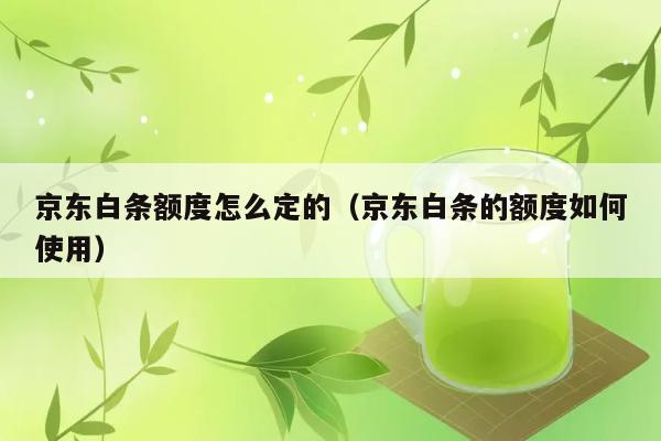 京东白条额度怎么定的（京东白条的额度如何使用） 