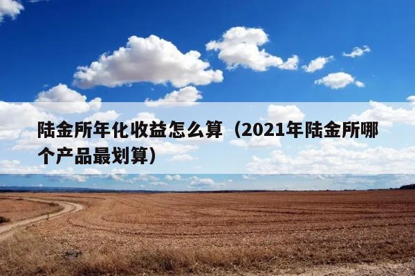 陆金所年化收益怎么算（2021年陆金所哪个产品最划算） 