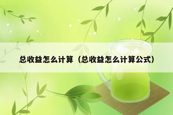 总收益怎么计算（总收益怎么计算公式） 