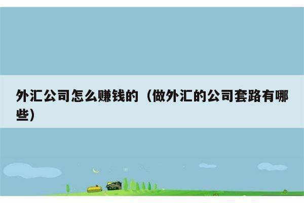 外汇公司怎么赚钱的（做外汇的公司套路有哪些） 