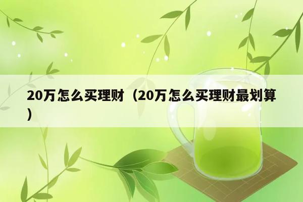 20万怎么买理财（20万怎么买理财最划算） 