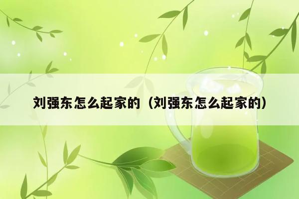 刘强东怎么起家的（刘强东怎么起家的） 