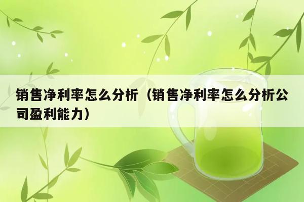 销售净利率怎么分析（销售净利率怎么分析公司盈利能力） 