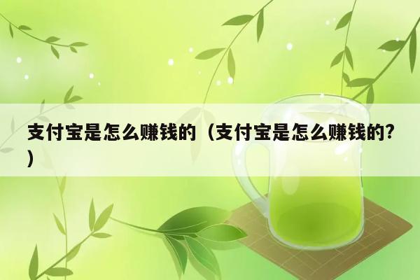 支付宝是怎么赚钱的（支付宝是怎么赚钱的?） 