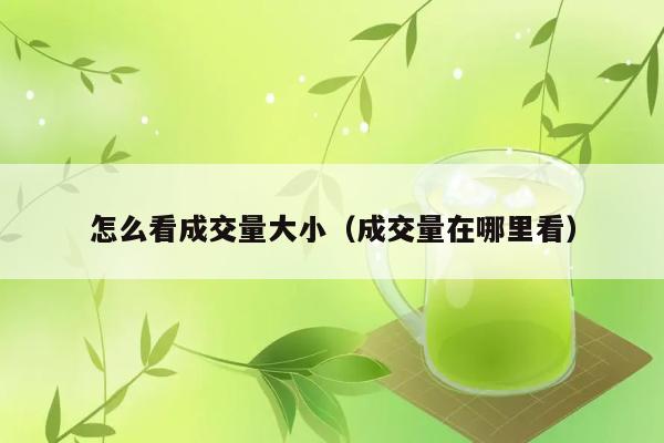 怎么看成交量大小（成交量在哪里看） 