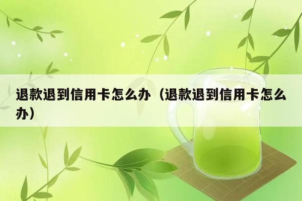 退款退到信用卡怎么办（退款退到信用卡怎么办） 