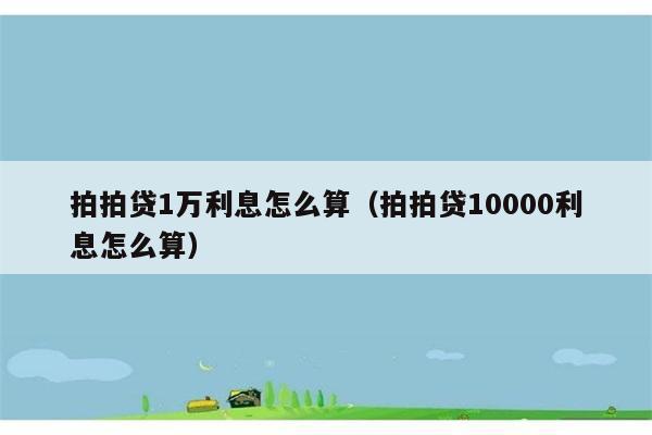 拍拍贷1万利息怎么算（拍拍贷10000利息怎么算） 