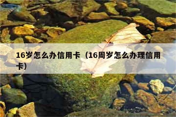 16岁怎么办信用卡（16周岁怎么办理信用卡） 