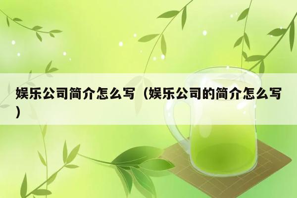 娱乐公司简介怎么写（娱乐公司的简介怎么写） 