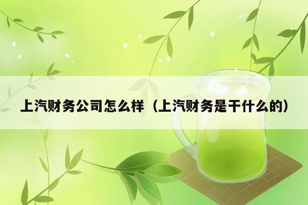 上汽财务公司怎么样（上汽财务是干什么的） 