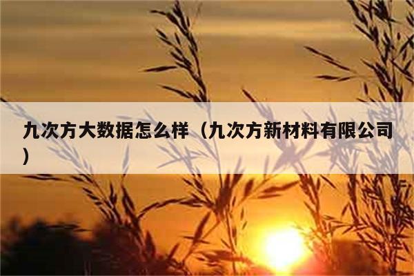 九次方大数据怎么样（九次方新材料有限公司） 