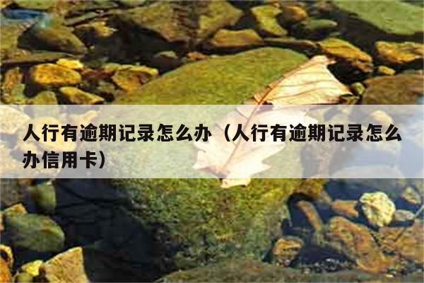 人行有逾期记录怎么办（人行有逾期记录怎么办信用卡） 