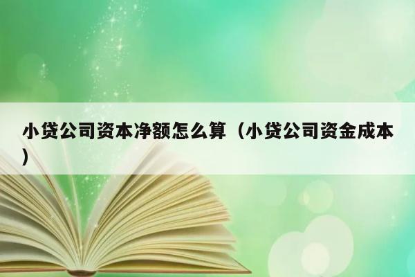 小贷公司资本净额怎么算（小贷公司资金成本） 