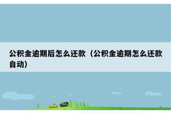 公积金逾期后怎么还款（公积金逾期怎么还款自动） 