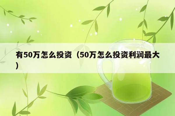 有50万怎么投资（50万怎么投资利润最大） 