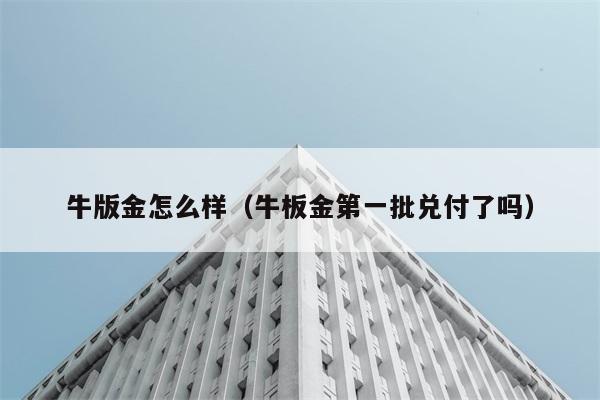 牛版金怎么样（牛板金第一批兑付了吗） 