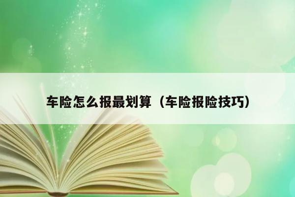 车险怎么报最划算（车险报险技巧） 