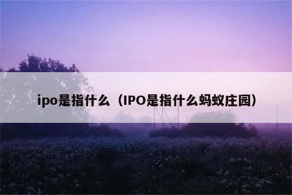 ipo是指什么（IPO是指什么蚂蚁庄园） 