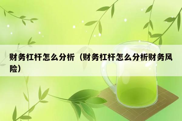 财务杠杆怎么分析（财务杠杆怎么分析财务风险） 