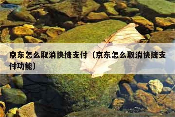 京东怎么取消快捷支付（京东怎么取消快捷支付功能） 