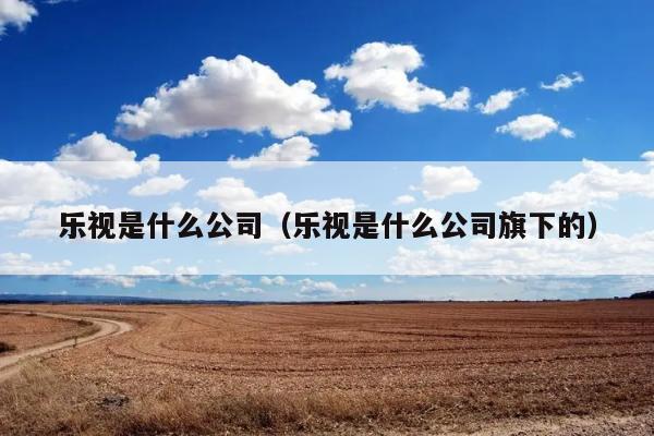 乐视是什么公司（乐视是什么公司旗下的） 