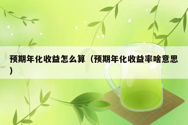 预期年化收益怎么算（预期年化收益率啥意思） 