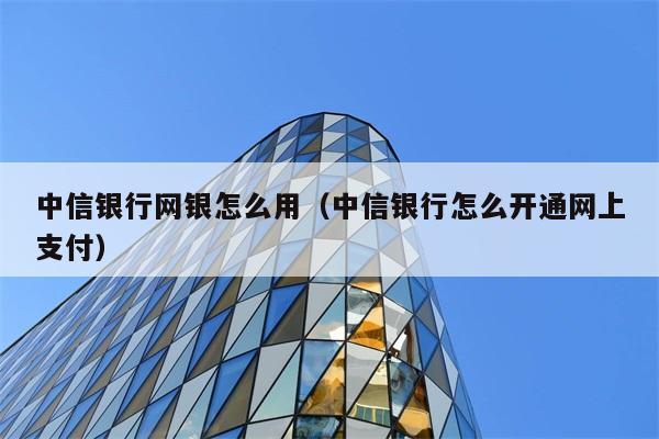 中信银行网银怎么用（中信银行怎么开通网上支付） 