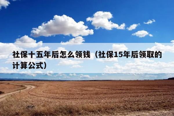 社保十五年后怎么领钱（社保15年后领取的计算公式） 