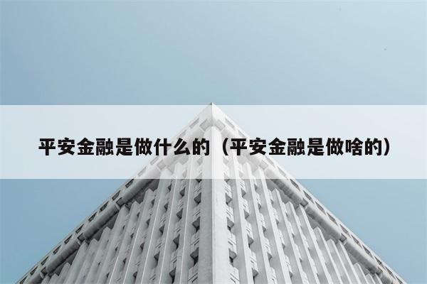 平安金融是做什么的（平安金融是做啥的） 