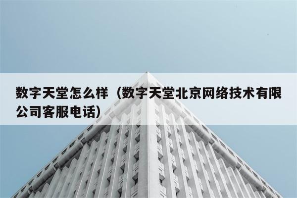 数字天堂怎么样（数字天堂北京网络技术有限公司客服电话） 