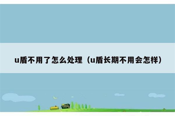 u盾不用了怎么处理（u盾长期不用会怎样） 