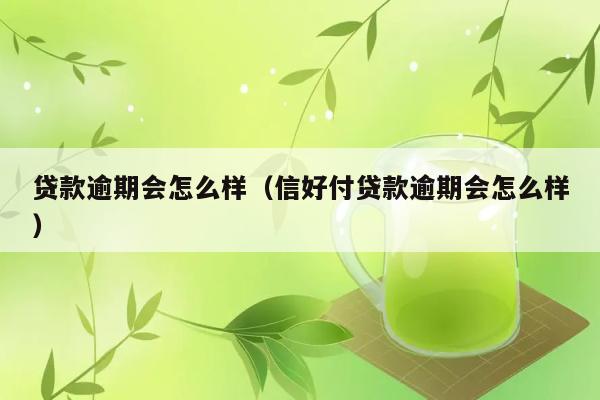 贷款逾期会怎么样（信好付贷款逾期会怎么样） 