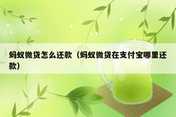 蚂蚁微贷怎么还款（蚂蚁微贷在支付宝哪里还款） 