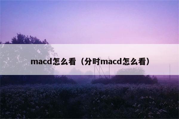 macd怎么看（分时macd怎么看） 