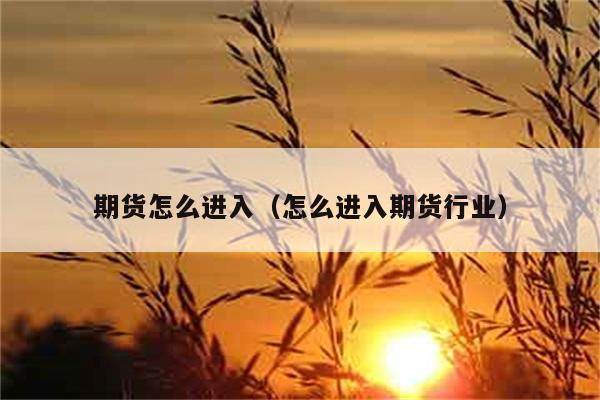 期货怎么进入（怎么进入期货行业） 