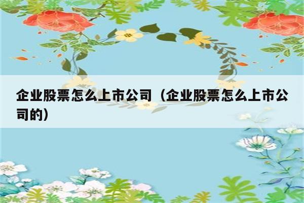 企业股票怎么上市公司（企业股票怎么上市公司的） 