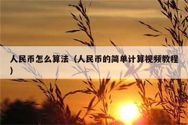 人民币怎么算法（人民币的简单计算视频教程） 