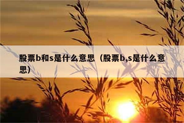 股票b和s是什么意思（股票b,s是什么意思） 