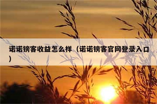 诺诺镑客收益怎么样（诺诺镑客官网登录入口） 