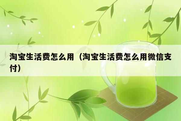 淘宝生活费怎么用（淘宝生活费怎么用微信支付） 