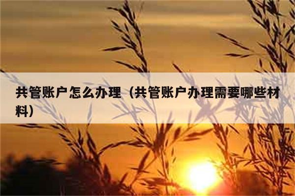 共管账户怎么办理（共管账户办理需要哪些材料） 